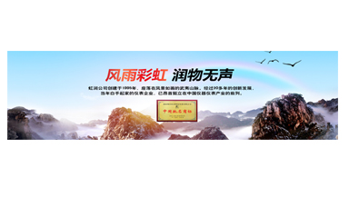 不經風雨何以見彩虹——在虹潤圓夢助學行動座談會上的講話